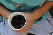 Planting the seeds...of knowledge! Celebrating World Food day