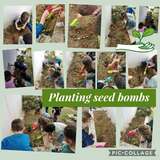 Seed bombs